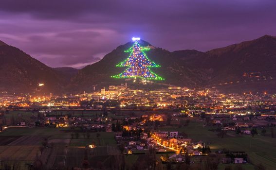 Najveće božićno drvce na svijetu - 3