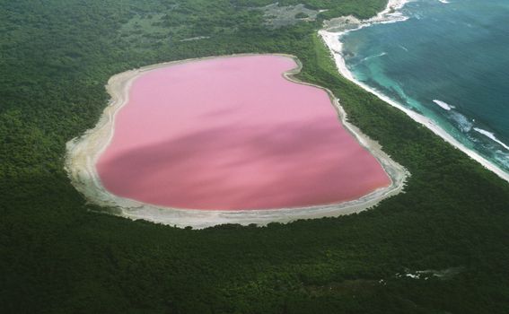 Ružičasto jezero u Australiji - 4
