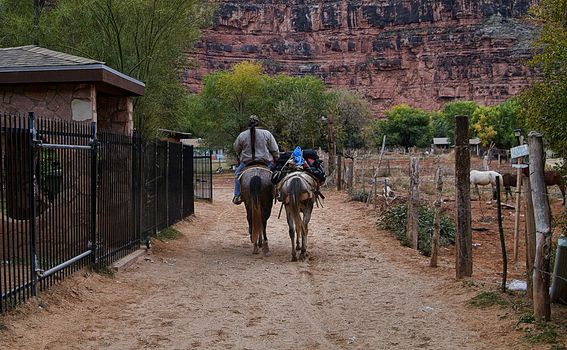 Grand Canyon - 3