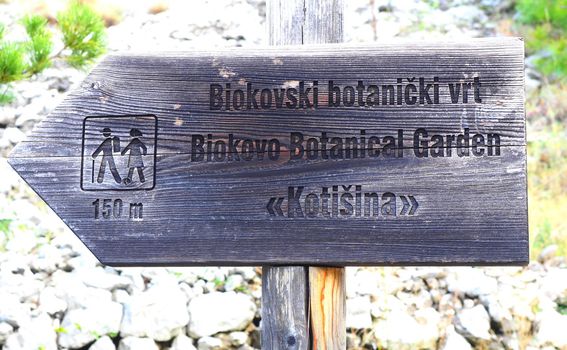 Selo Kotišina ispod Biokova - 18