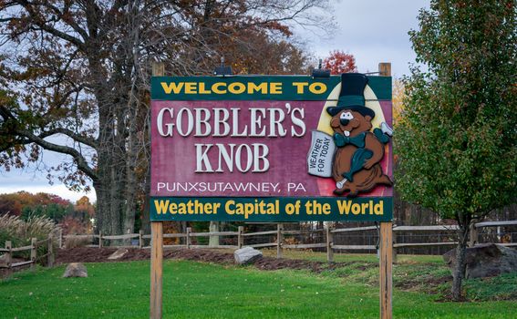 Gobbler’s Knob - 3