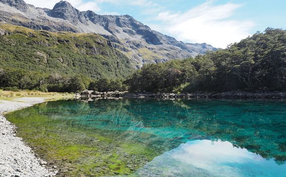 Najbistrije jezero na svijetu nalazi se u sklopu Nacionalnog parka Nelsons Lake na Novom Zelandu - 2