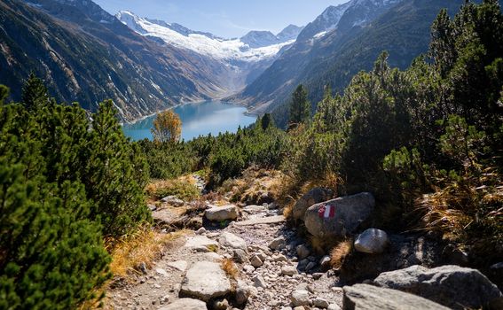 Najbistrije jezero na svijetu nalazi se u sklopu Nacionalnog parka Nelsons Lake na Novom Zelandu - 4