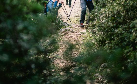 Highlander Lošinj - 4