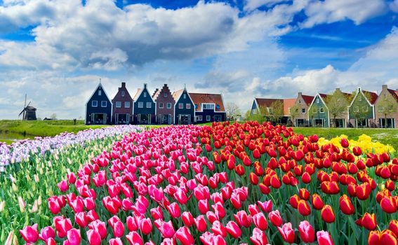 Nizozemska u proljeće - 3