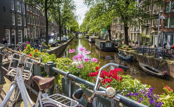 Nizozemska u proljeće - 4