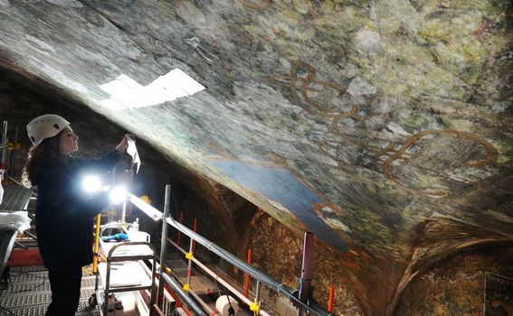 Leonardo da Vinci u Castellu Sforzesco u Milanu - 2