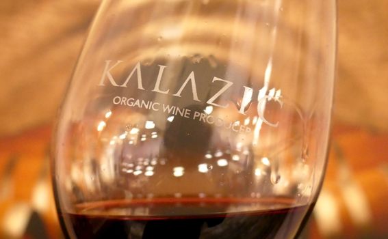 Izlet u Baranju - 31