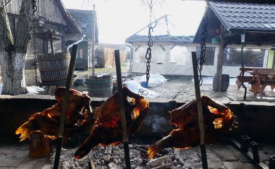 Izlet u Baranju - 32