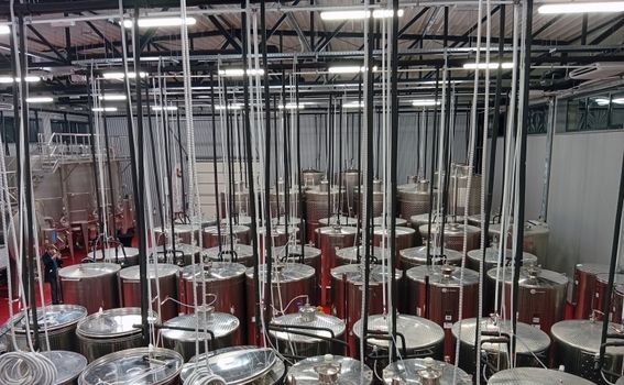 Izlet u Baranju - 33