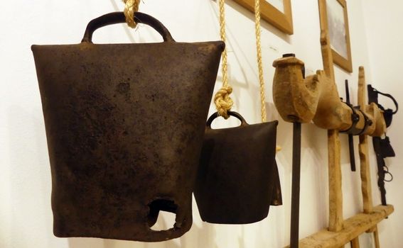 Izlet u Baranju - 34