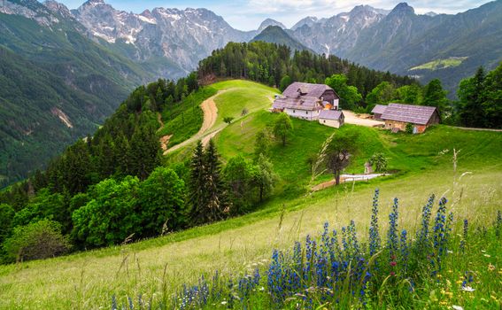 Solčavska panoramska cesta - 4