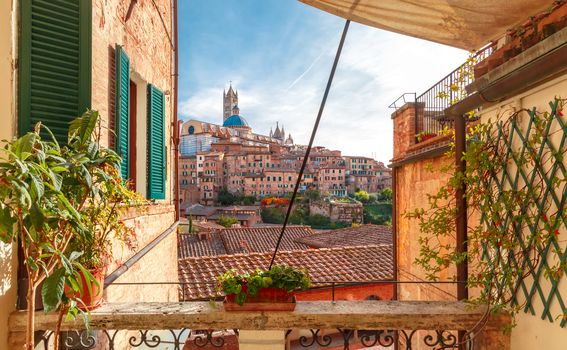 Siena