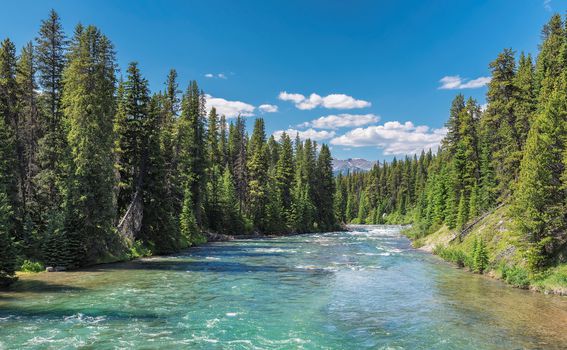 Najveći nacionalni park Kanadskog stjenjaka – Park Jasper - 4