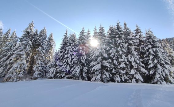 Skijaško trčanje u Gorskom kotaru - 5