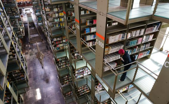 Biblioteca Vasconcelos - 6