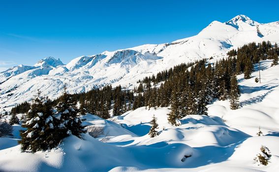 Grindelwald je meka za ljubitelje snijega