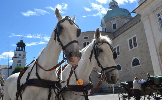 Utvrda Hohensalzburg - 5