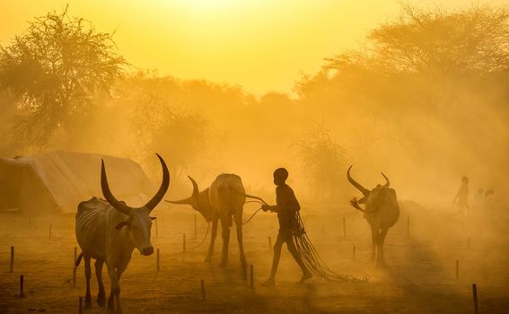 Jurica Galić Juka, Južni Sudan: Kako je nastala fotografija Back to the Past