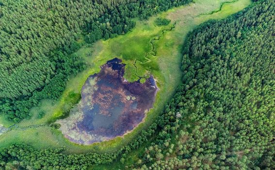 Nacionalni park Dzūkija u Litvi - 1