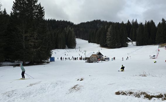 Pokljuka - 2