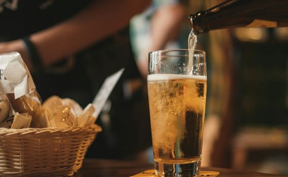 Pivo