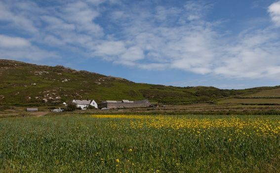 Otok Bardsey, Wales - 2