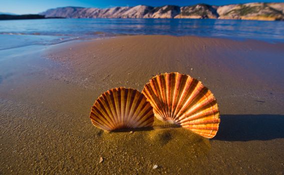 Kvarnerska pješčana plaža koja ima sve što godišnji odmor može poželjeti