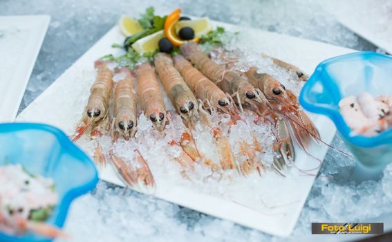 Kvarnerski ili draški škamp jedna je od najpoznatijih jadranskih delicija (Foto Luigi Opatija)