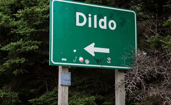 Grad Dildo, Newfoundland, Kanada - 1