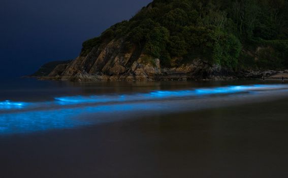 Plaža koja svijetli, Caswell Bay, Ujedinjeno Kraljevstvo