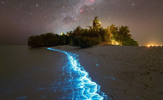 Plaža koja svijetli u mraku, Soneva Fushi, Maldivi