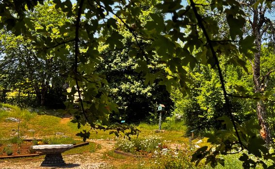 Pećinski park Grabovača - 15
