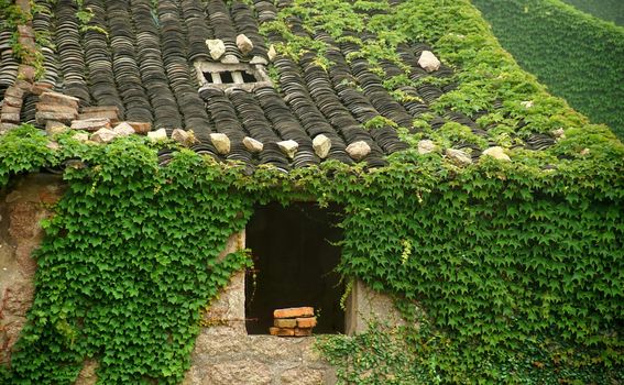 Houtouwan, Kina - 5