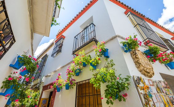 Jedna od najljepših i najpopularnijih ulica je Calleja de las Flores