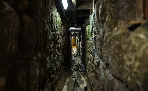 Tuneli ispod Jeruzalema - 2