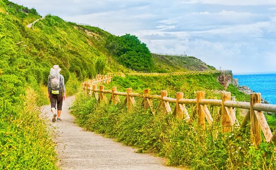 Camino de Santiago