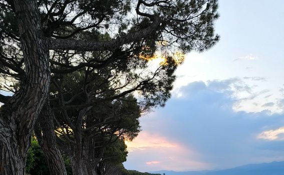 Bologna, Lago di Garda - 1