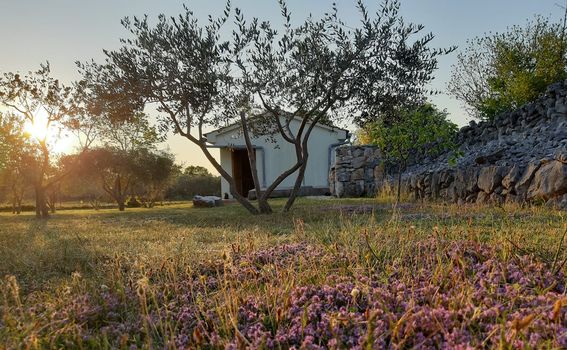 Robinzonska kuća Tubile na Krku, Airbnb - 7