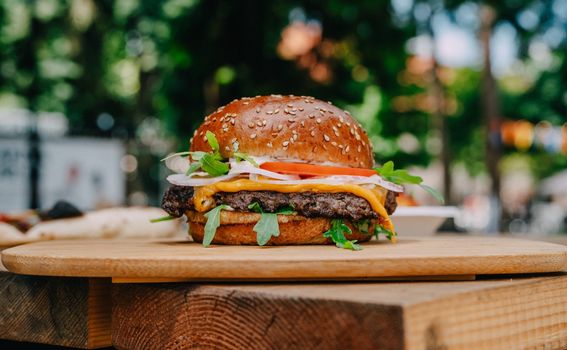 Pizza & Burger Festival Bjelovar - 26