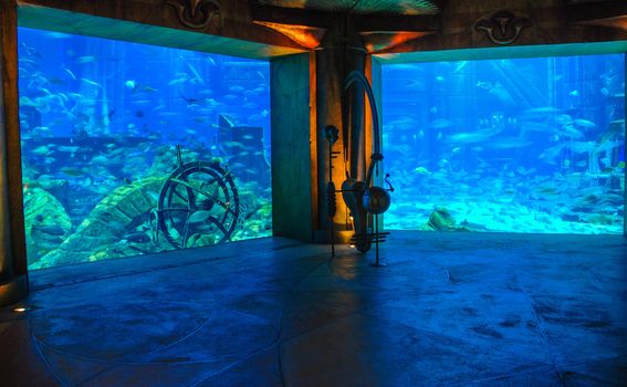 Aquaventure World, najveći vodeni park Dubai - 4