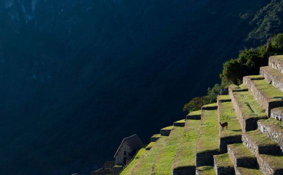 Machu Picchu - 4