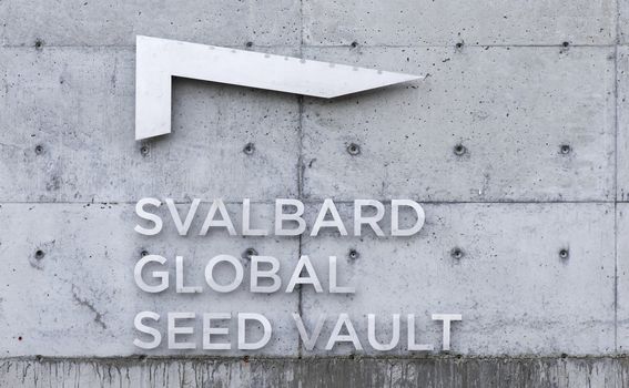 Svalbard - 3