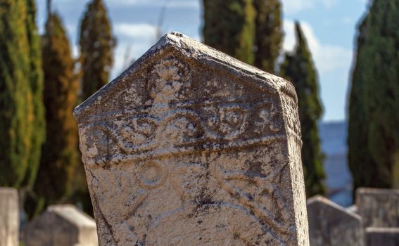 Nekropola Radimlja - 9