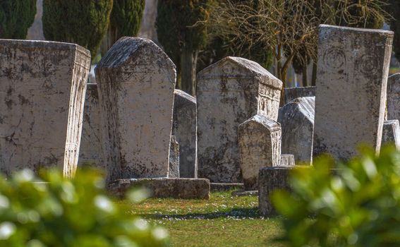 Nekropola Radimlja - 10