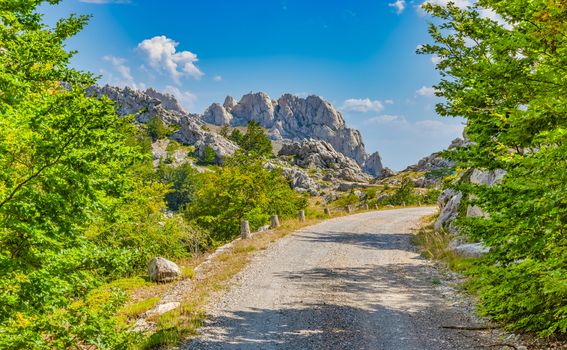 Majstorska cesta - 4