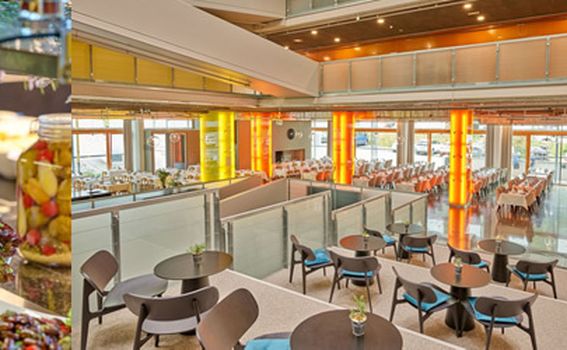 Arena Franz Ferdinand - 1