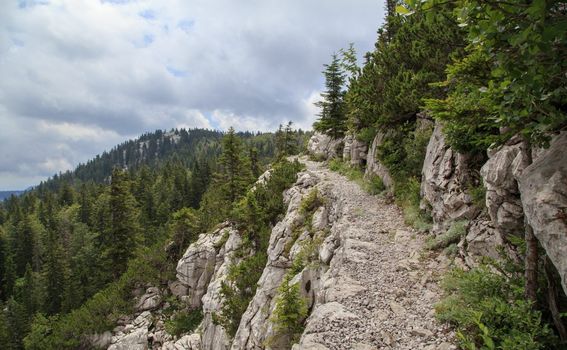 Novi kviz općeg znanja - 14