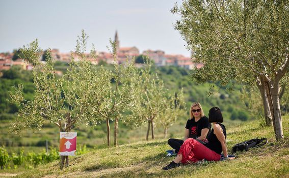 Istria Wine&Walk - 3
