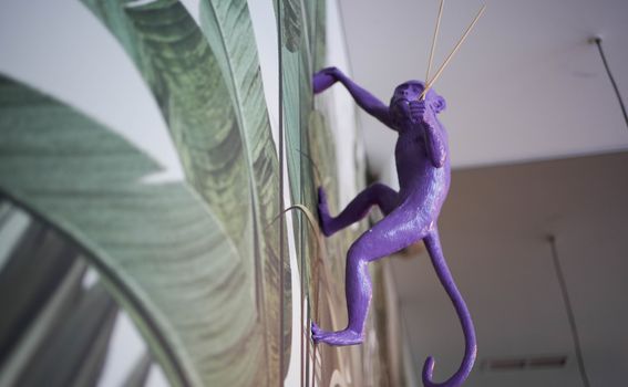 Purple Monkey - 23